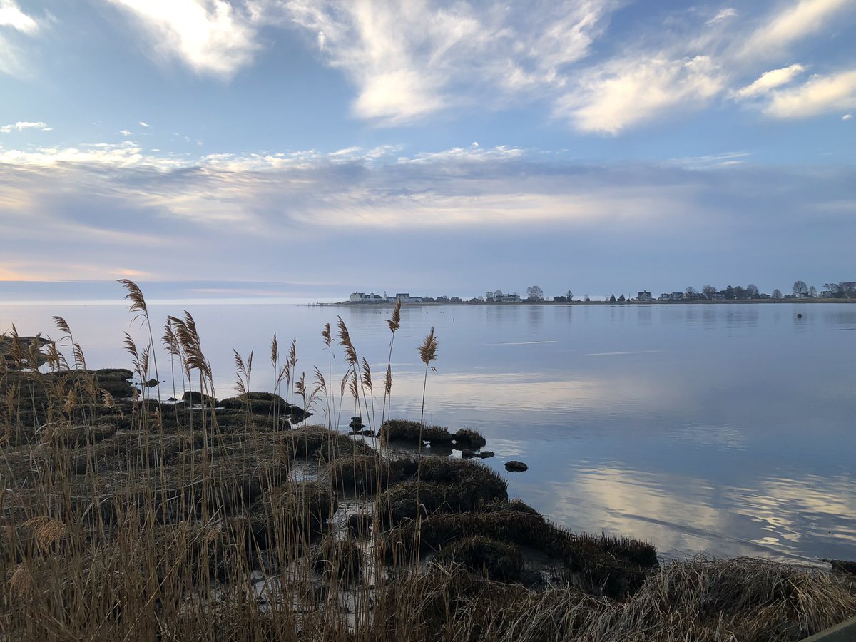 KathyLaBella_RD's tweet photo. Gorgeous morning run in nature, &amp; learning to run with sciatica with therapeutic exercises before &amp; after run with heat, &amp; proper nutrition to fuel my body. 😊 🏃‍♀️ #fitness #nutrition #kathylabellardn #peakperformancerd #nutritionformusicians #running #ctshore #runningwithsciatica https://t.co/l6LFGxXeCs