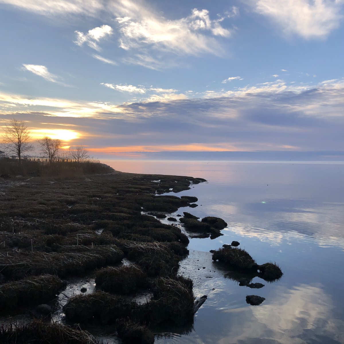 KathyLaBella_RD's tweet photo. Gorgeous morning run in nature, &amp; learning to run with sciatica with therapeutic exercises before &amp; after run with heat, &amp; proper nutrition to fuel my body. 😊 🏃‍♀️ #fitness #nutrition #kathylabellardn #peakperformancerd #nutritionformusicians #running #ctshore #runningwithsciatica https://t.co/l6LFGxXeCs
