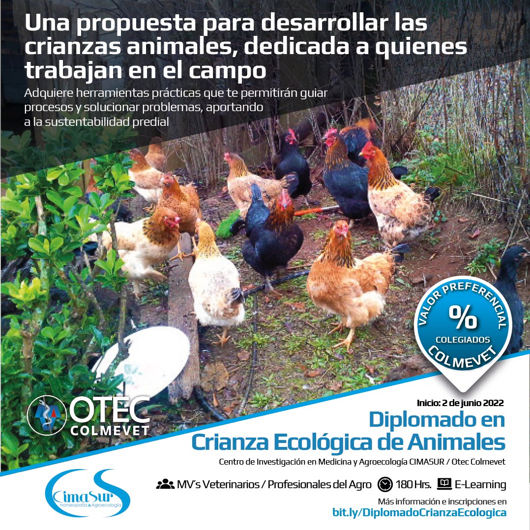 colmevetchile's tweet photo. Recuerda que este año, @Homeopatianimal   y OTEC Colegio Médico Veterinario de Chile te ayudan en tu formación profesional con estas dos ofertas innovadoras de diplomados. Visita https://t.co/Gkd985qPuU y elige tu mejor opción.
Te esperamos! https://t.co/Z8TgpdfCXo