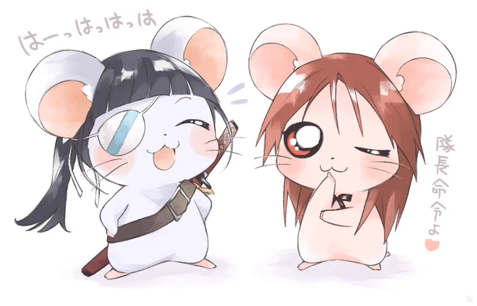 ハムちゃんずに入ったストライクウィッチーズ② 