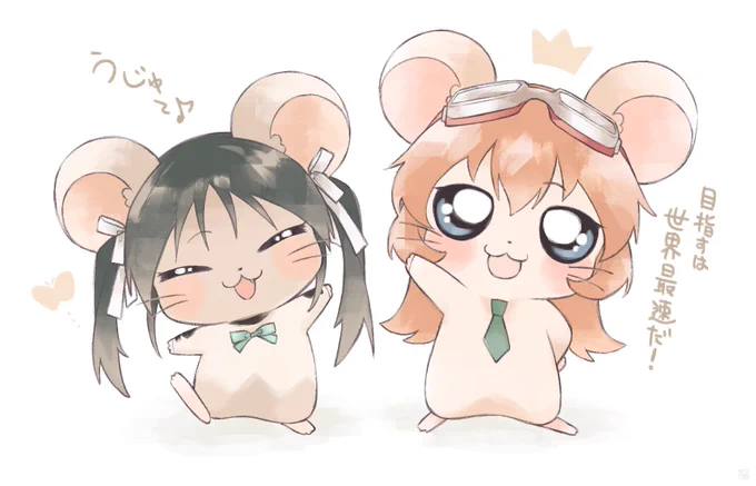 ハムちゃんずに入ったストライクウィッチーズ② 