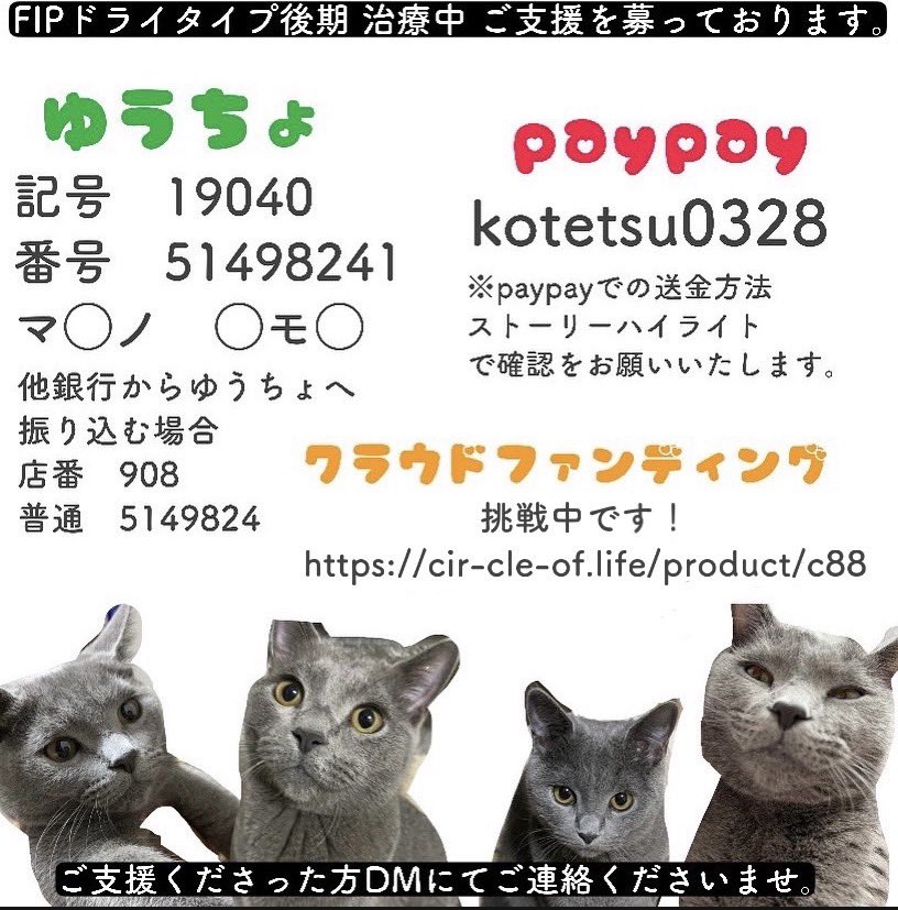 _kotekotetsu_'s tweet photo. 現在達成率が8.75%と進捗状況がかなり厳しい状況です💦皆様の温かいお気持ち、ご支援、拡散の程宜しくお願い致します😭🙇‍♂️
・
・
#クラウドファンディング
#クラウドファンディング挑戦中
#直接支援 https://t.co/HTsfZVcWFN