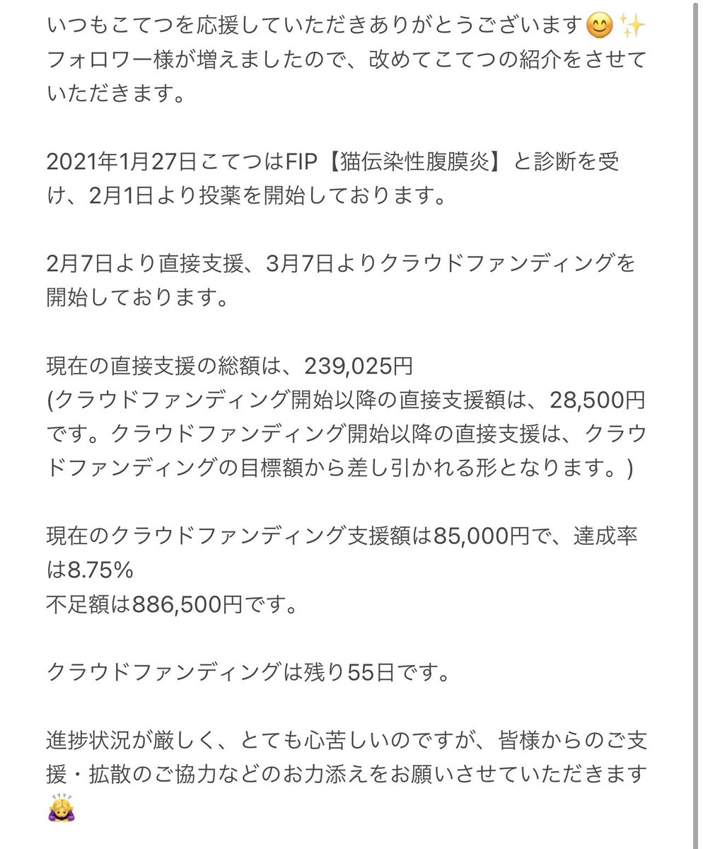 _kotekotetsu_'s tweet photo. 現在達成率が8.75%と進捗状況がかなり厳しい状況です💦皆様の温かいお気持ち、ご支援、拡散の程宜しくお願い致します😭🙇‍♂️
・
・
#クラウドファンディング
#クラウドファンディング挑戦中
#直接支援 https://t.co/HTsfZVcWFN