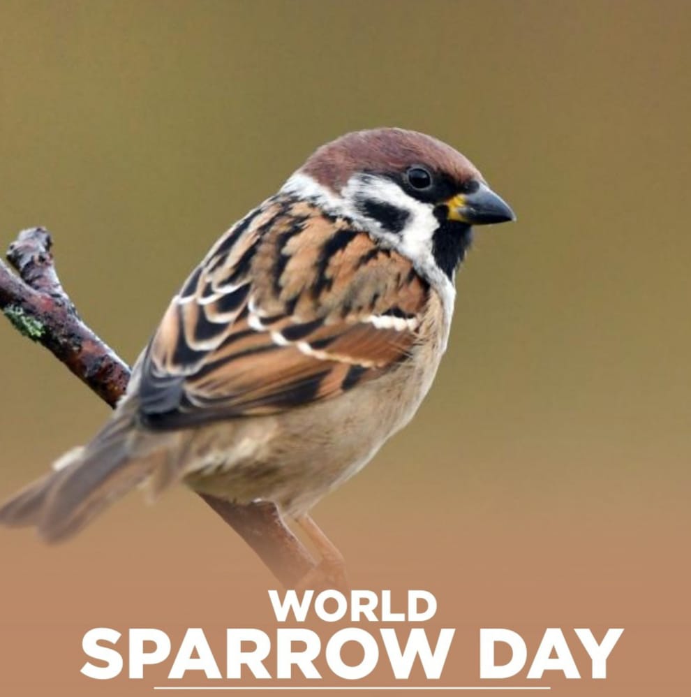 NeetuSingh tweet media