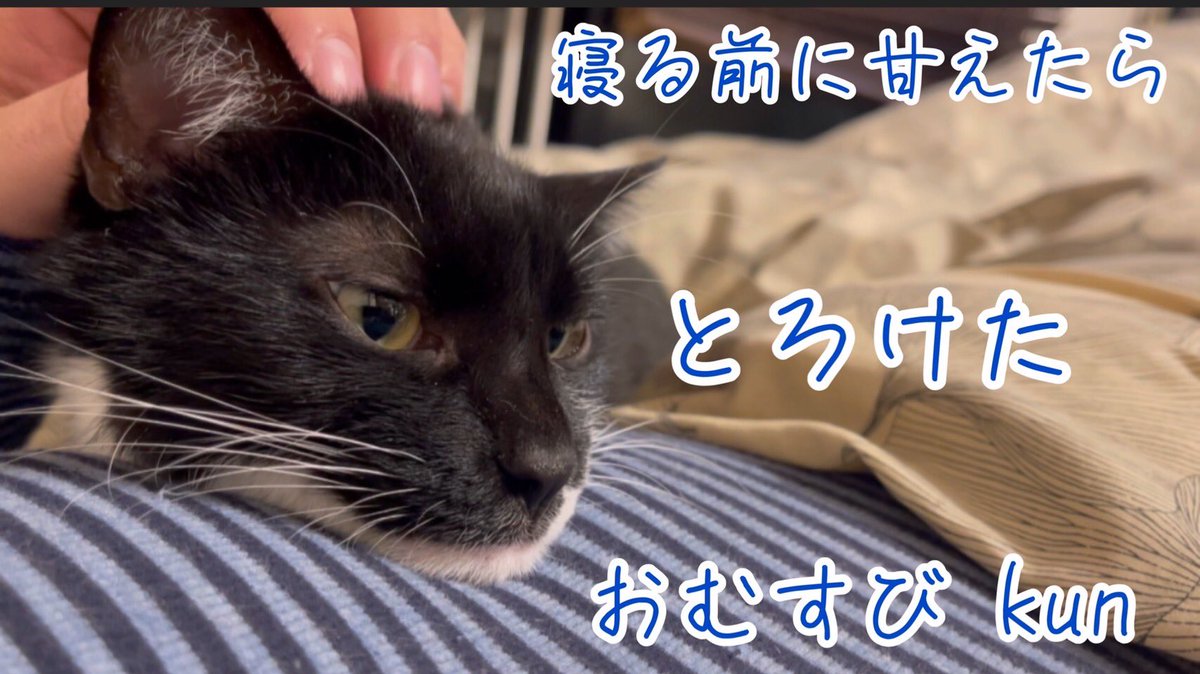 とろけてしまった猫

youtu.be/kCfI9_RydN0

#おむすびkun
#とろけた
#猫
#寝る前
#飼い猫
#保護猫