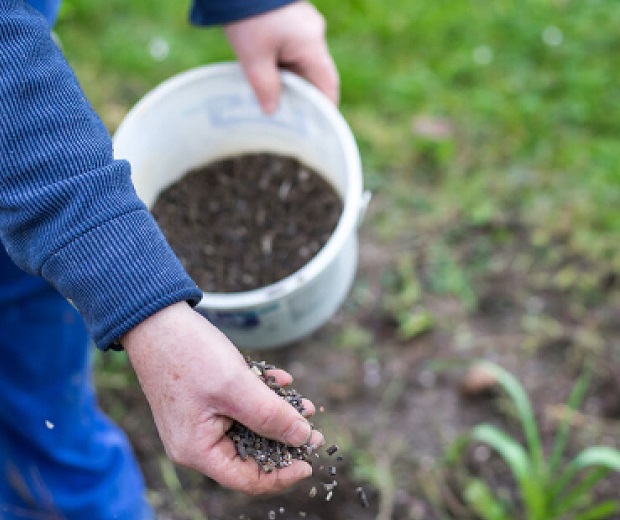 Op zaterdag 26 maart is het weer Landelijke Compostdag: op die dag kun je gratis compost ophalen op het Duurzaamheidsplein Oss. Breng je zelf iets mee om de compost in mee te nemen?

👇 Meer info 👇
bit.ly/3KB6HmO