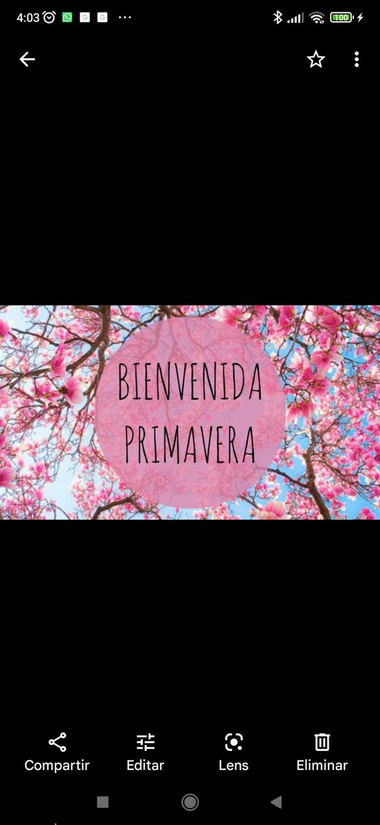 TomellosoWines's tweet photo. #Primavera #vida #vinicoladetomelloso #vinos #bodega #vinosdecalidad #domancha #elorigendelvino https://t.co/UoIAoXXOOY