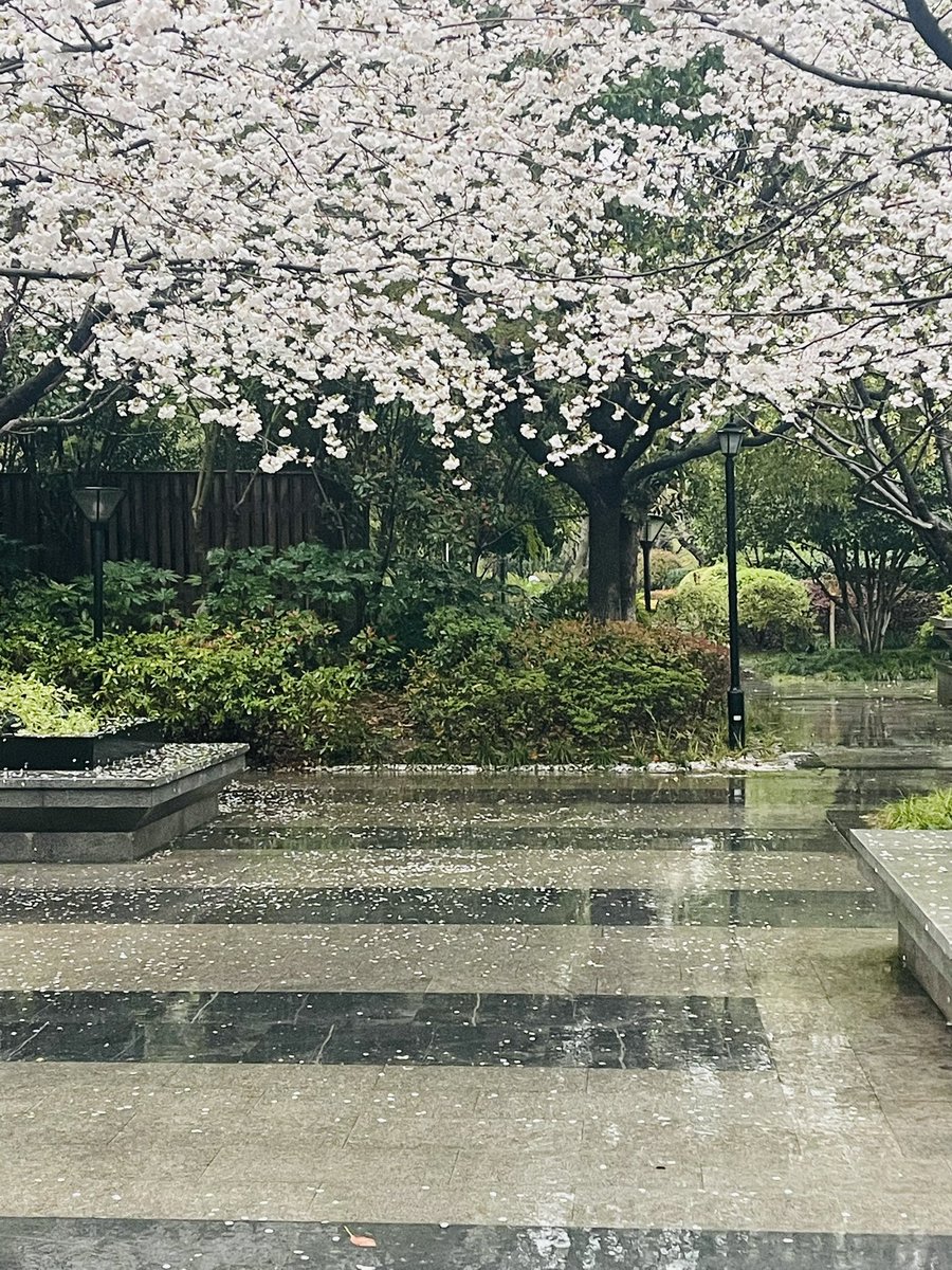stretchceilingm's tweet photo. Raining here … https://t.co/p2Zm4xuCIs