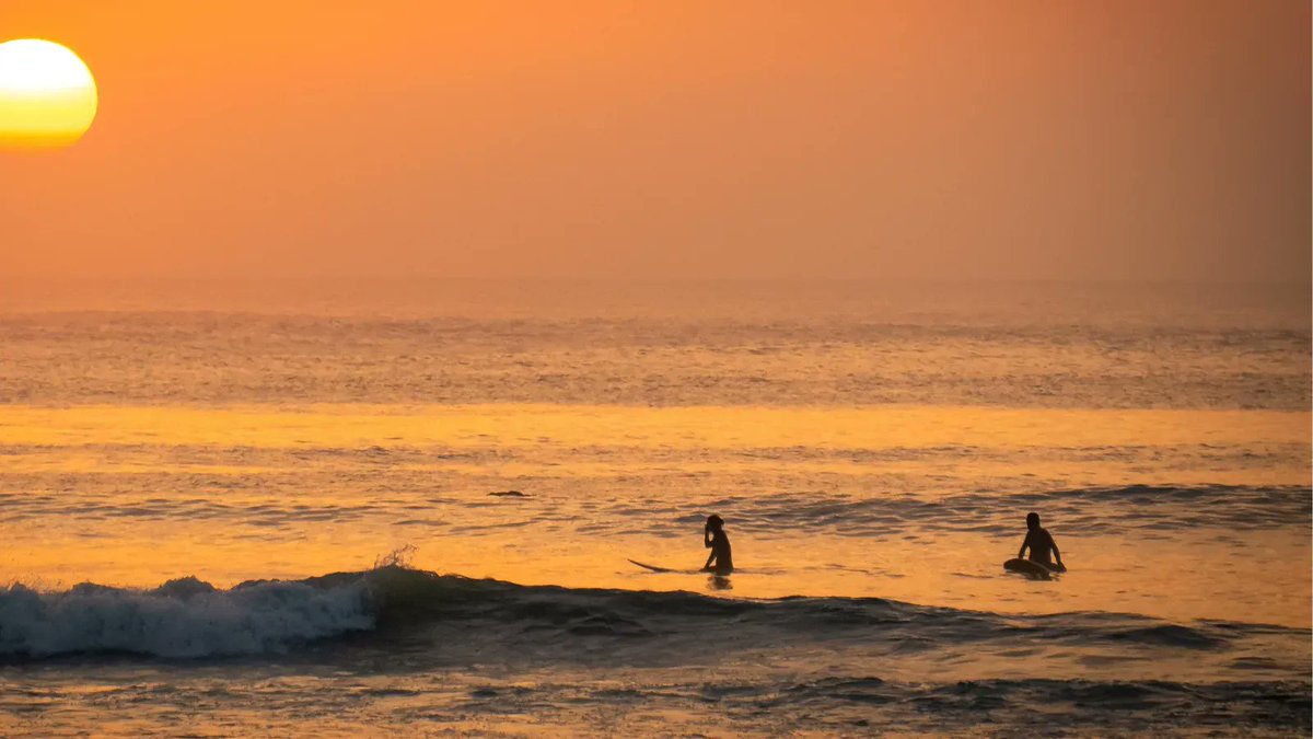 sascampaigns's tweet photo. Spring Equinox 🌤️

As we welcome in Spring and the Vernal Equinox, we look forward to lighter evenings on the beach, more dawnies in the water and getting out into nature for longer. 

#SpringEquinox #VernalEquinox https://t.co/qHTsHevPge