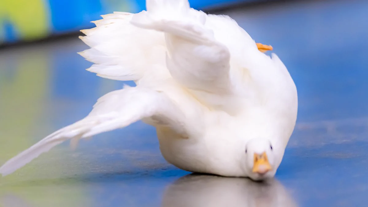 なかなか見ない光景？鳥が転ぶ瞬間がこれwww