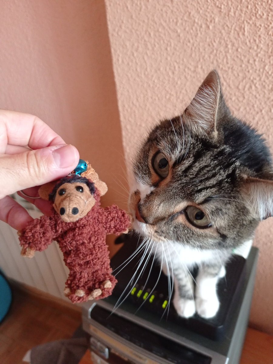 Neo Emperador 🇪🇸 🇩🇰 tweet media