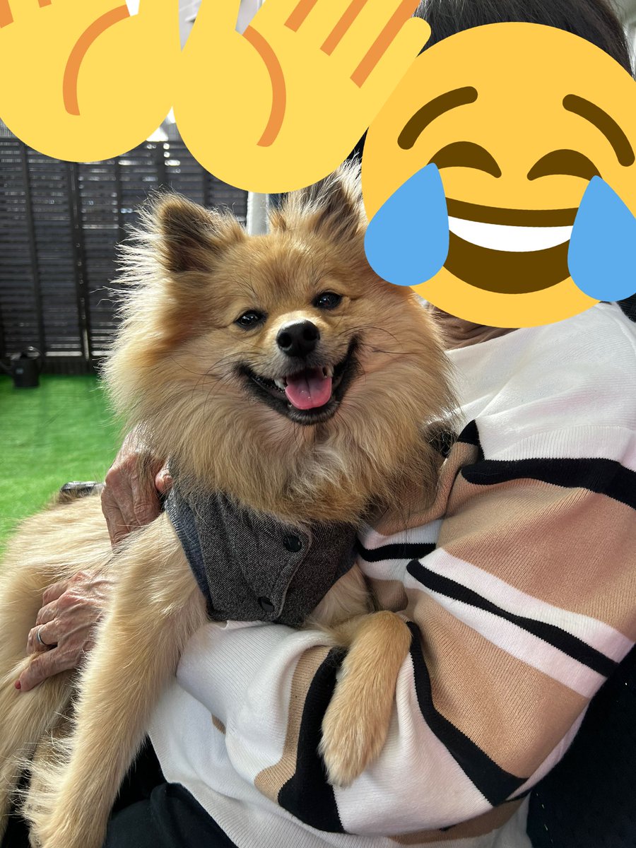 ChaCha27O's tweet photo. 母とちゃちゃ🐶🫧
天気がよかったから庭でのんびり🐌💭
いい笑顔( ˙︶˙ ) https://t.co/S0nSZoUIhi