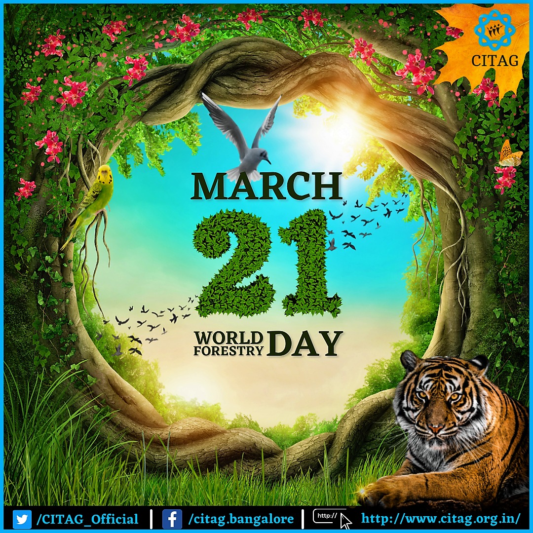 #WorldForestryDay The theme for 2022 is “Forests and sustainable production and consumption”. This will help in the prosperity and well-being of present and future generations.
<a href="/citaghelpline/">CITAG Covid Helpline BLR</a> <a href="/grovervj/">VIJAY</a> <a href="/kmssons/">Deepak Shenoy | दीपक शेणै</a> @Venkatagiri_GR <a href="/psridharp/">Sridhar Pabbisetty</a> <a href="/sriAAA_/">Arun A Arya</a> <a href="/moefcc/">MoEF&CC</a> <a href="/Bandipur_TR/">Bandipur Tiger Reserve</a> <a href="/jakareem26/">jack kareem</a>