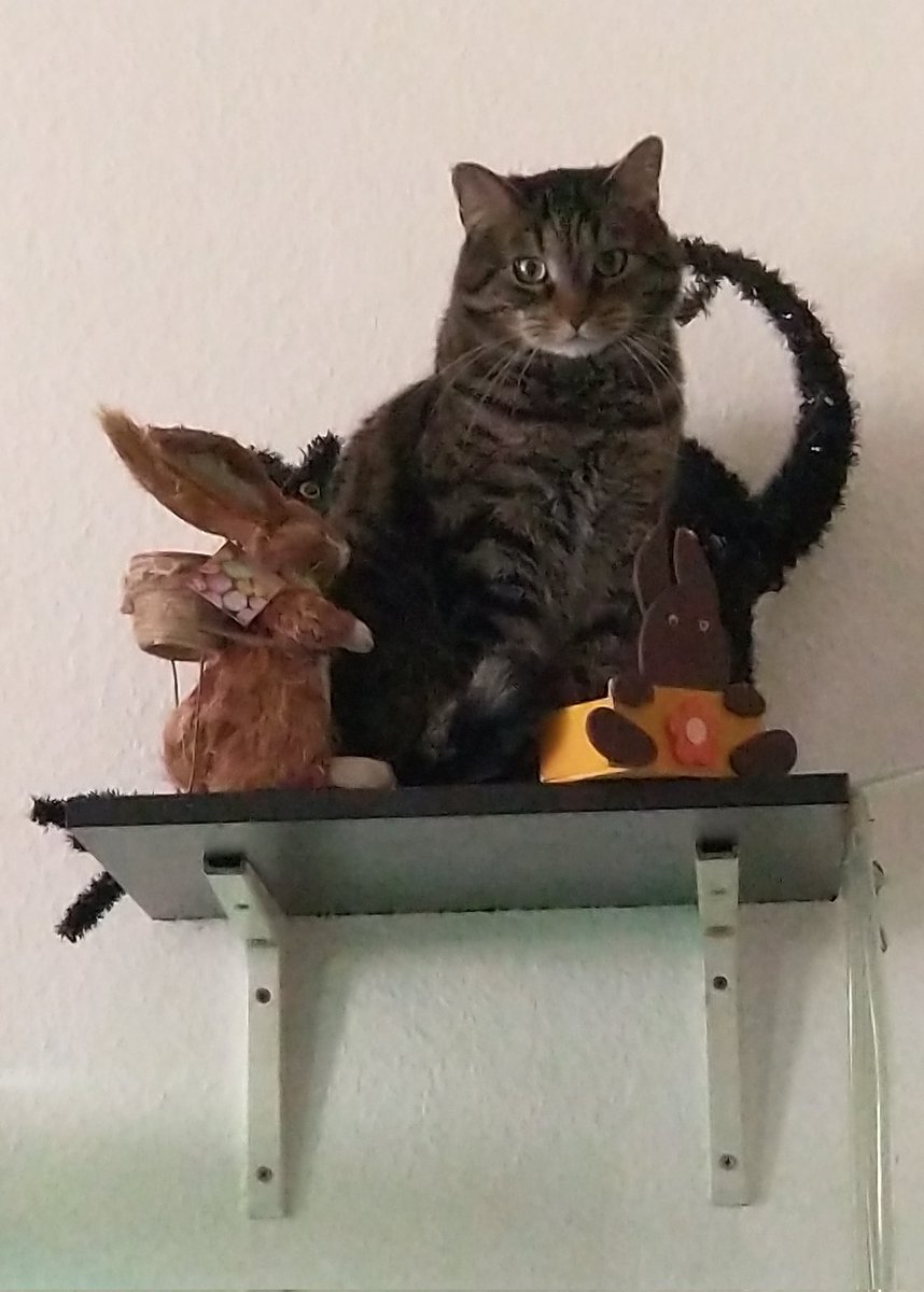 Jay Draco tweet media