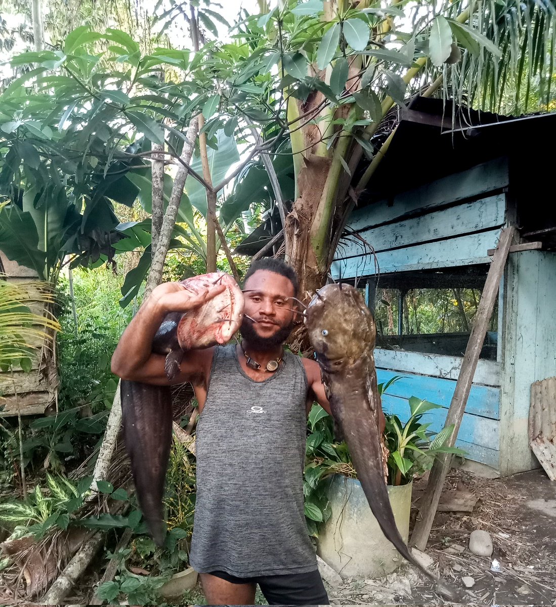 EdwarPinimet's tweet photo. Ketika kami lapar ibu selalu menyediakan nya, kami mengambilnya sesuai kebutuhan kami. 
Terimakasih Alam ku #WestPapua https://t.co/E0O4Wn5YuC
