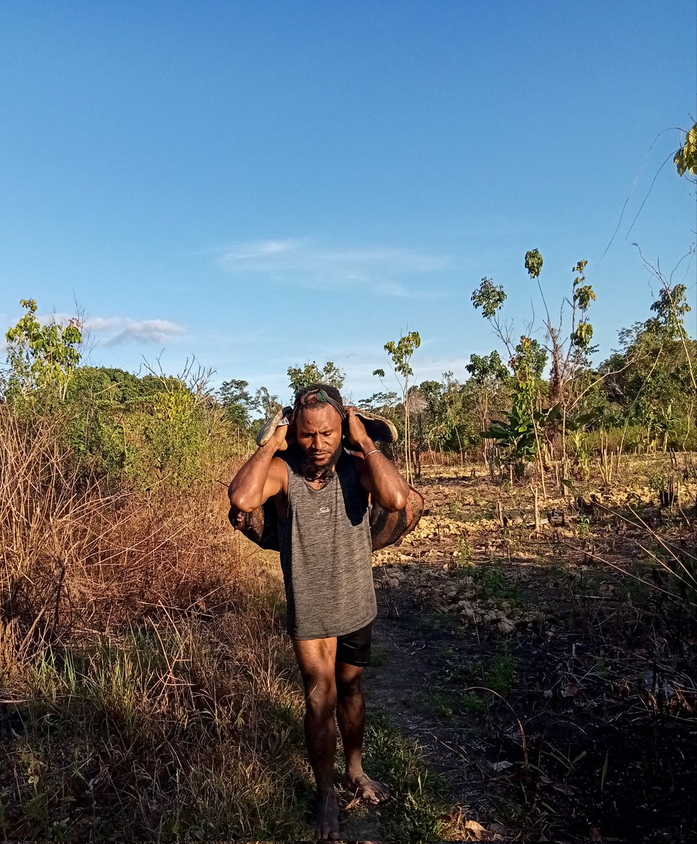 EdwarPinimet's tweet photo. Ketika kami lapar ibu selalu menyediakan nya, kami mengambilnya sesuai kebutuhan kami. 
Terimakasih Alam ku #WestPapua https://t.co/E0O4Wn5YuC