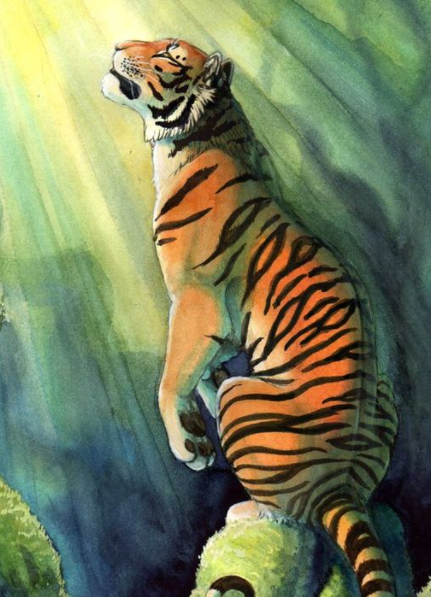 TigerDegen's tweet photo. Carry on my wayward son

$BTC https://t.co/G9A5G5Fx5b