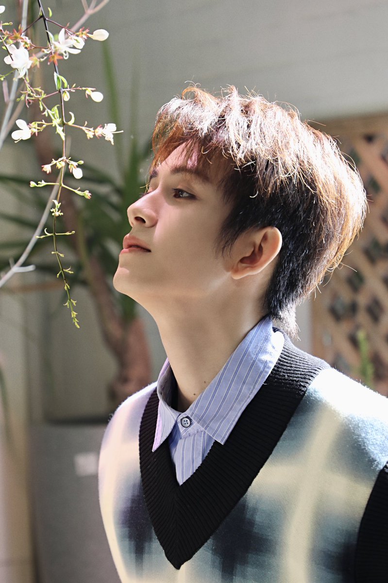 zhuzanjin (@zhuzanjin) on Twitter photo 