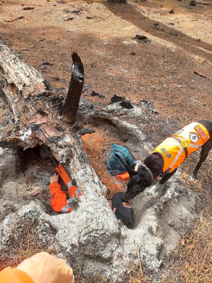 Probably not what this volunteer had in mind when they signed up with the Canine Unit. Thanks for always looking for new ways to challenge our canines and handlers!