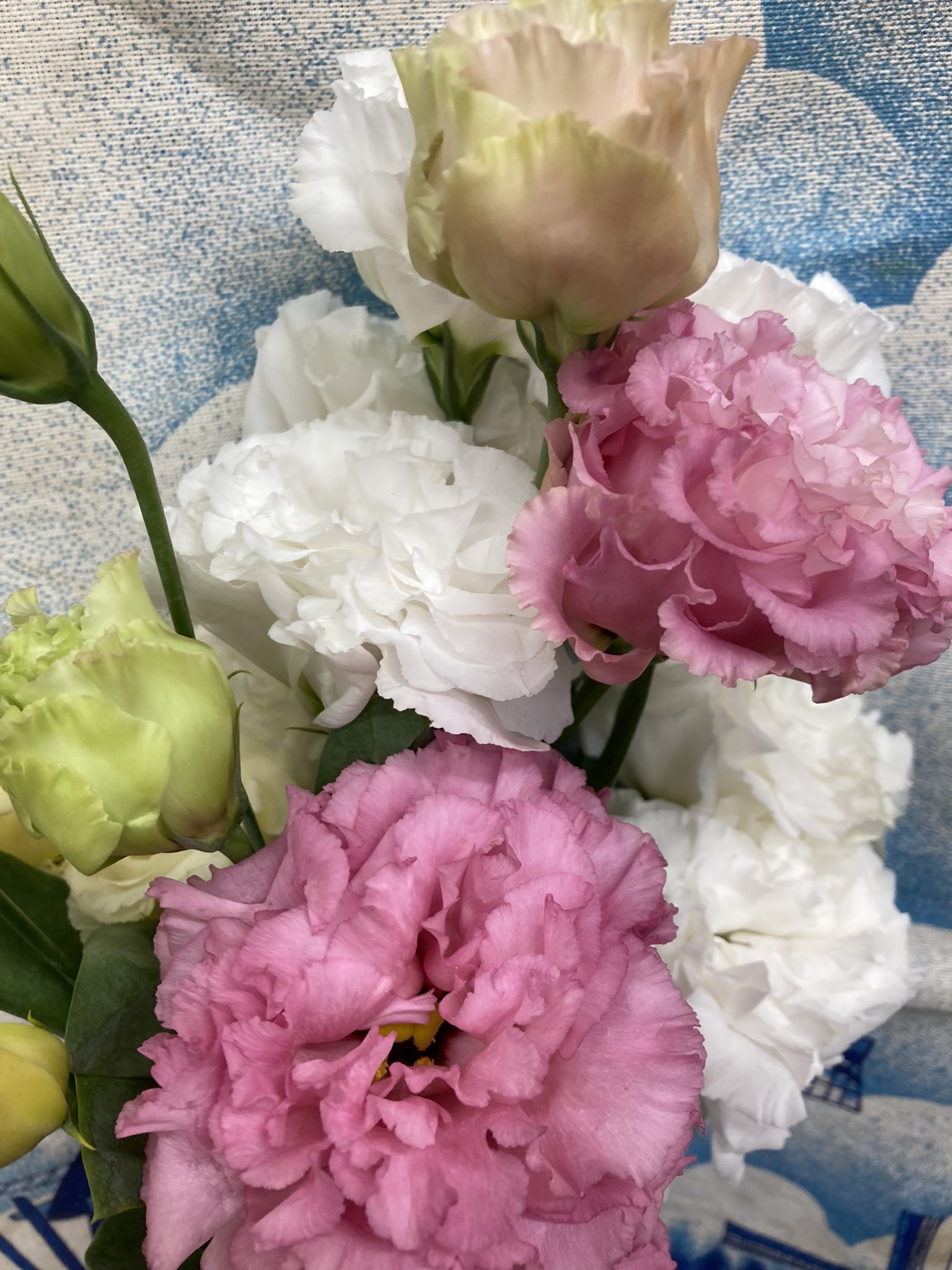 تويتر Fs リリラース على تويتر トルコキキョウ ミックス 実家の近くのトルコキキョウ農家さんから分けてもらいました 産地直送新鮮切りたてです トルコキキョウ Ja足利 産地直送 リリラース 花屋 江戸川区平井 T Co Yi6owsuiuu