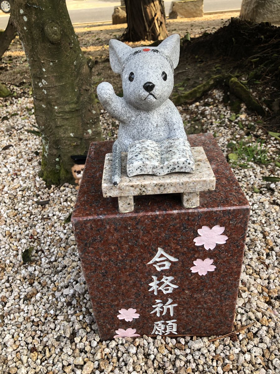 今年もサクラサクセスは国公立大学の合格者数が100名を超えました🌸これで7年連続！沢山の桜🌸を咲かせることができ嬉しい限りです^ ^