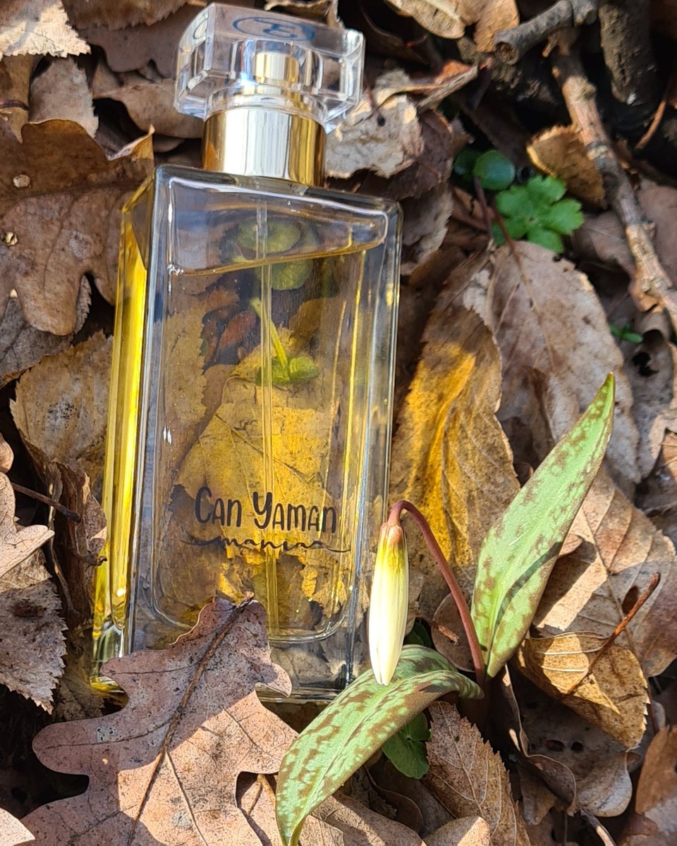 “Simplicity is the ultimate sophistication.” ― Leonardo da Vinci. First day of spring, first flower, the only scent. #springequinox #MyMania #myway #myday #maniastyle #CanYaman #CanYamanMania #CanYamanForChildren <a href="/canyaman1989/">Can Yaman</a> <a href="/canyamanmania/">can yaman mania official</a>
From Romania, with love!