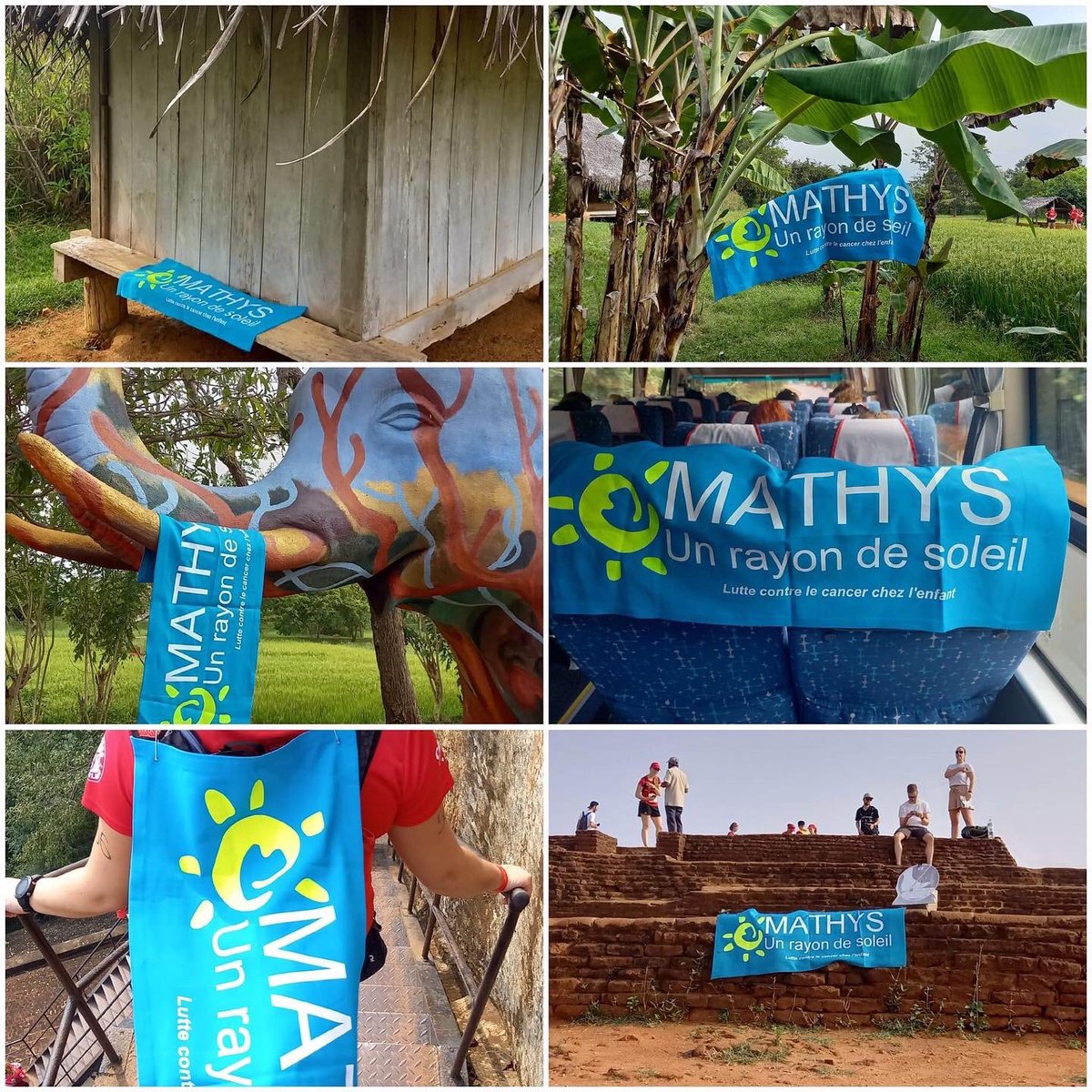 AssoMathys tweet media