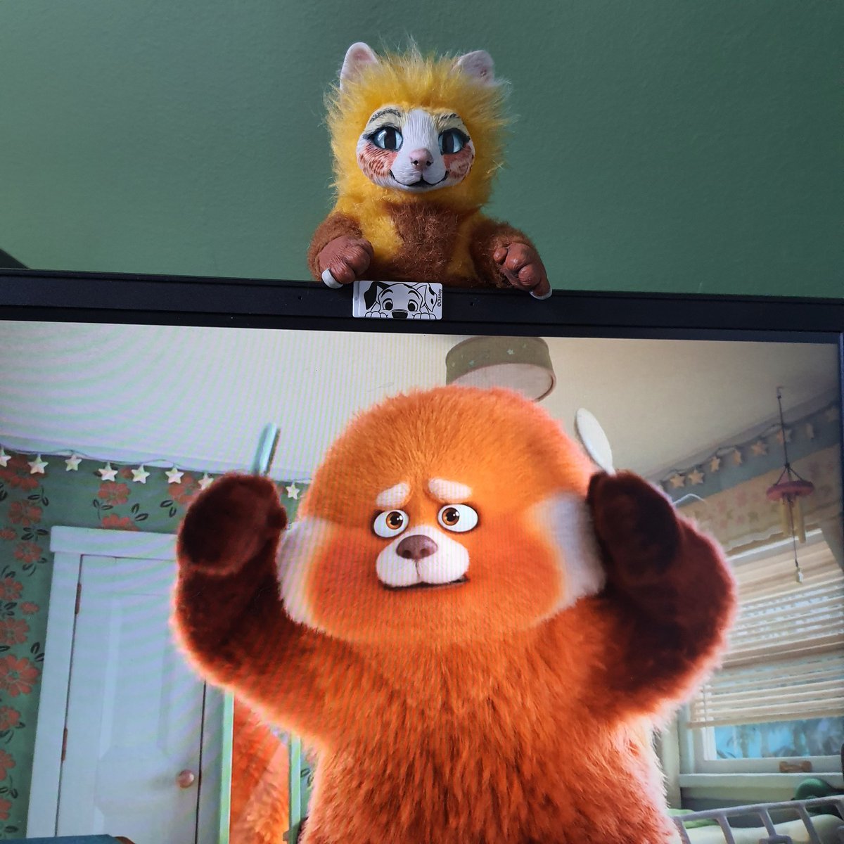 miniastera's tweet photo. @PixarTurningRed definitly brings memories... btw Ritka is already 12 years old! Yay for my red panda 🦊 https://t.co/wr3P8cvw7a