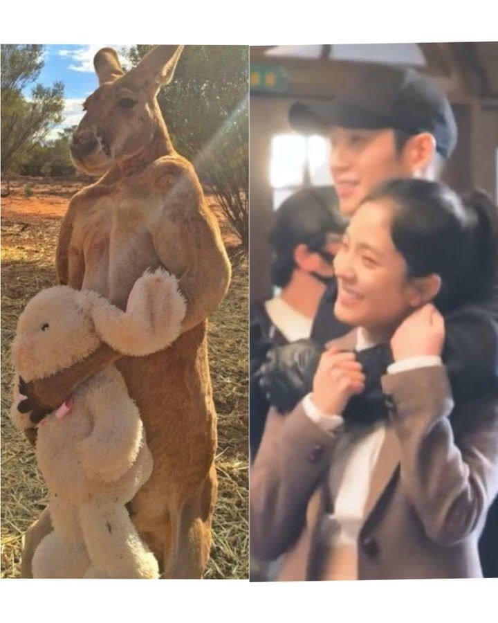 Roseannecelest's tweet photo. What is this??? HAHAHHAHAHS

PLEASE PURCHASE SNOWDROP BLURAY
#SnowDROPtheBluray
#Snowdrop #HAESOO #JungHaeIn #Jisoo #지수 #블랙핑크지수 #정해인 https://t.co/a5L8oXBKnB