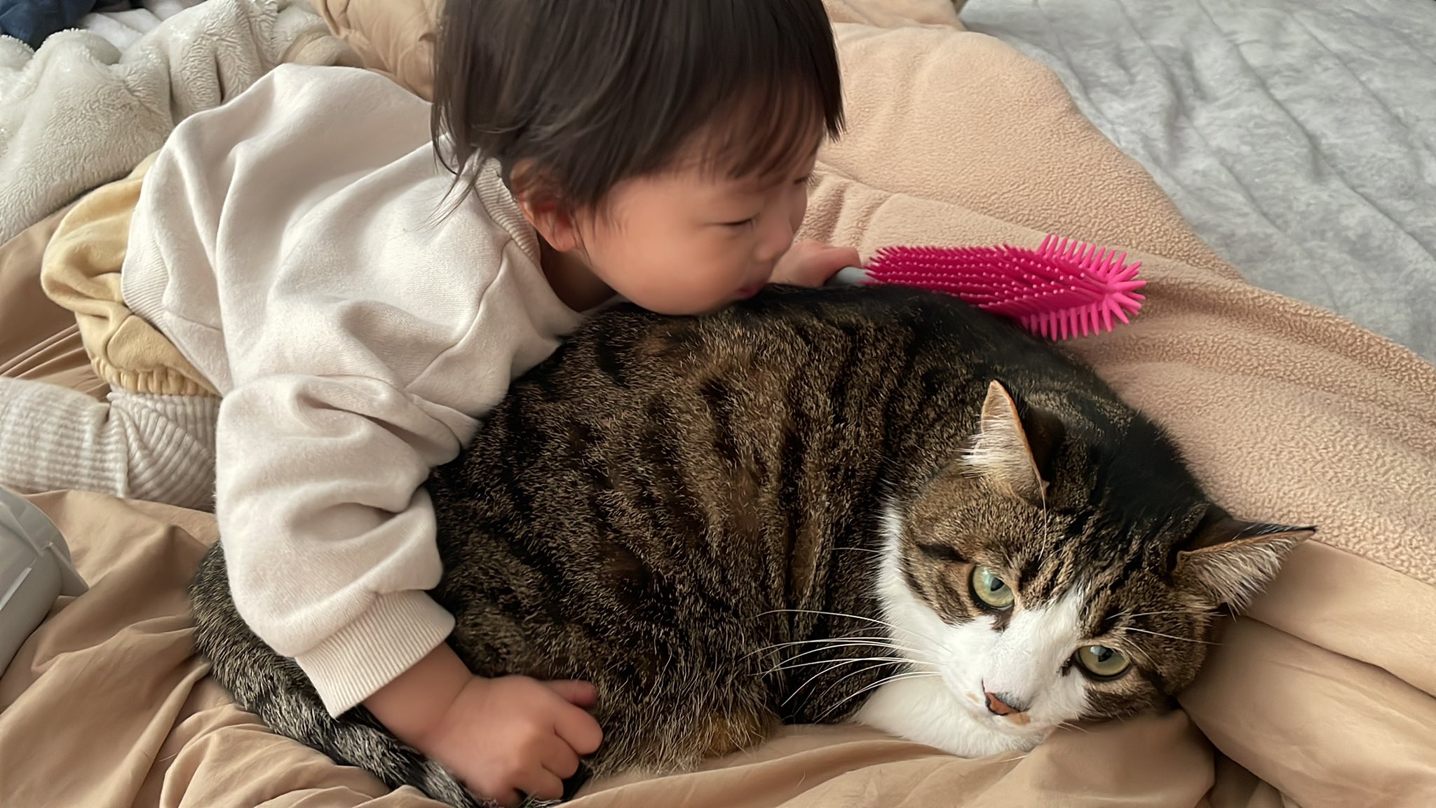猫なつめと双子 今日もなつめさんをかわいがる双子の姉 Youtubeに双子と猫の動画アップしてます 見てみてね 猫と赤ちゃん 猫と子供 猫好きな人と繋がりたい 保護猫 保護猫と暮らす T Co J67ue4wqyw Twitter 猫なつめと双子 今日もなつめさんをかわいがる双子の姉 Youtubeに双子と猫の動画アップしてます 見てみてね 猫と赤ちゃん 猫と子供 猫好きな人と繋がりたい 保護猫 保護猫と暮らす T Co J67ue4wqyw Twitter