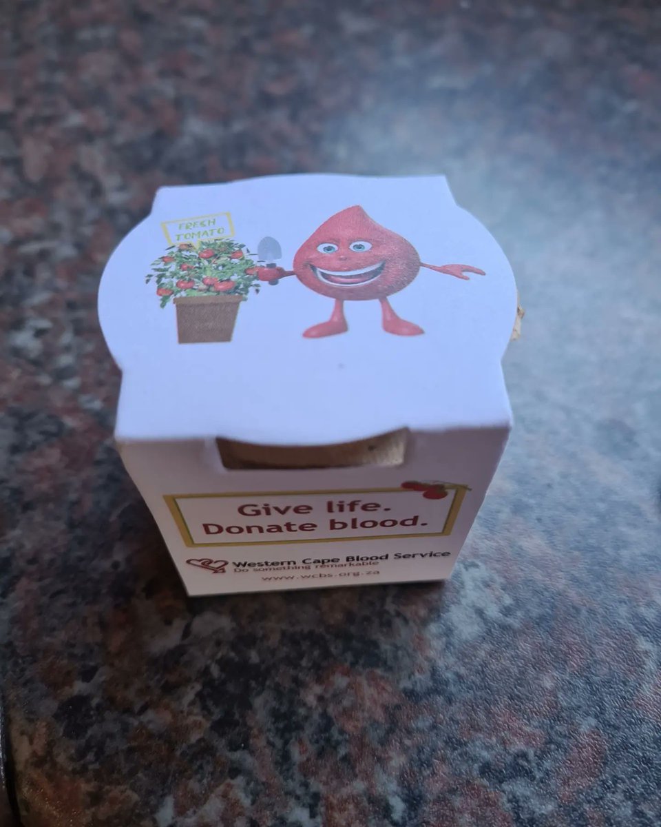 MrCow_man's tweet photo. As a blood donor I've cherished this gift from seed to harvest, thanks to @The_WCBS. I've read tomatoes are good for maintaining blood health as they provide 40% of the daily Vitamin C required #DonateBlood #SaveLives #TheWCBS #GardeningTheRoute #KuWrongKuRough #GeorgeDiaries https://t.co/X7wIAI2KgP