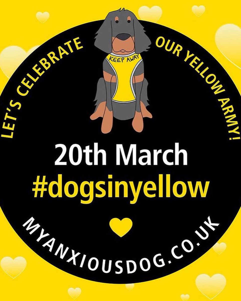 Leocharleyandme's tweet photo. What if everyone knew? 

#dogsinyellow day 

If they did the lives of Leo and countless other anxious dogs could change for the better and owners would be able to relax a little. 

Spread the word about the #YellowArmy and help the dogs who need a little tlc. #anxiousdogs
# https://t.co/WL9gGeRUBs