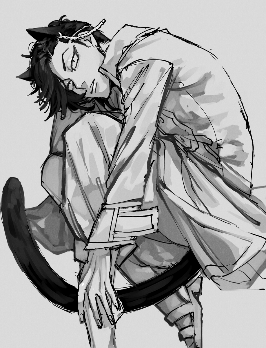 🐈 