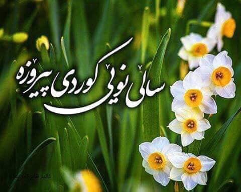 SORANGULALA's tweet photo. Happy Nowruz 🌹🌷 https://t.co/gGiGDNgHSf