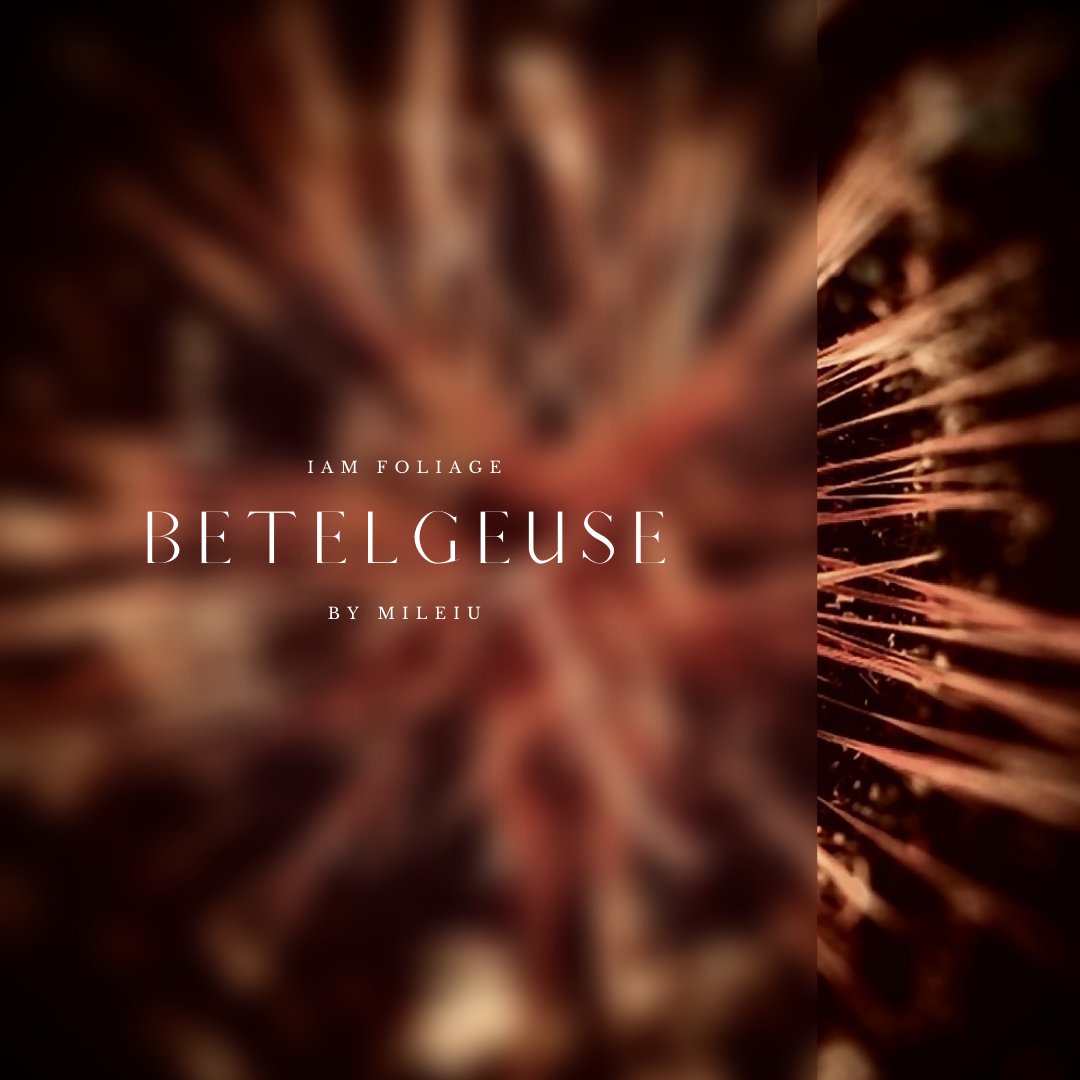 IAM_NFT_ART's tweet photo. “BETELGEUSE”

IAM FOLIAGE is coming to Opensea on the 21st of March at 12:30 PM GMT

#nftartwork #rarible #metaverse #btc #nftsstories #digitalartist #animation #cryptonews #modernart #digitalcollectibles https://t.co/mgRWxSIyGt