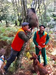 Unai Zarraolandia tweet media