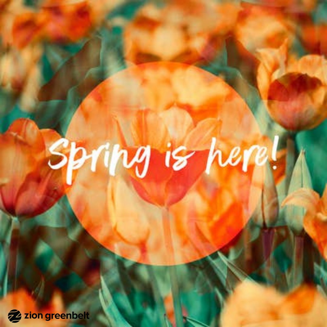 Spring in to action! Join us for our Worship Experience TODAY! Join us at 8 &amp; 10 AM. There will be a replay at 12 PM. Connecting with us via Zion Anywhere’s Facebook, YouTube pages and zionanywhere.online.church.