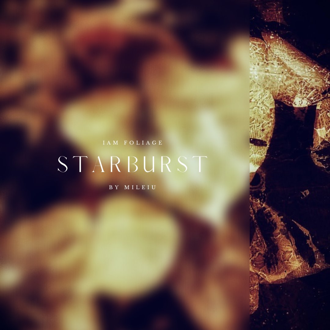 IAM_NFT_ART's tweet photo. “STARBURST”

IAM FOLIAGE is coming to Opensea on the 21st of March at 12:30 PM GMT

#nftartwork #rarible #metaverse #btc #nftsstories #digitalartist #animation #cryptonews #modernart #digitalcollectibles https://t.co/JvBU4yEW0j
