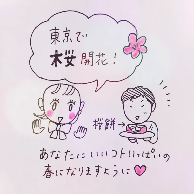 🌸🌸🌸 