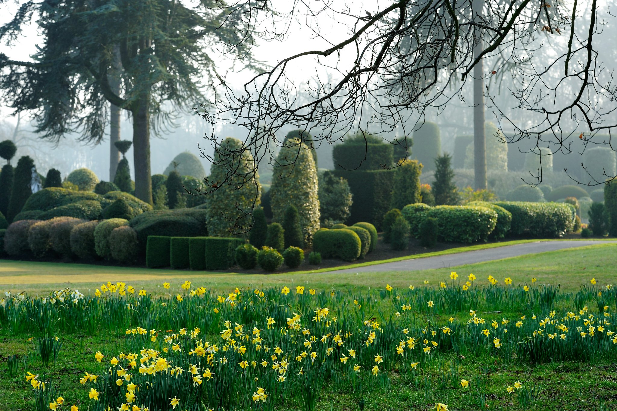 English Heritage on Twitter "Spring you look blooming beautiful 🌼