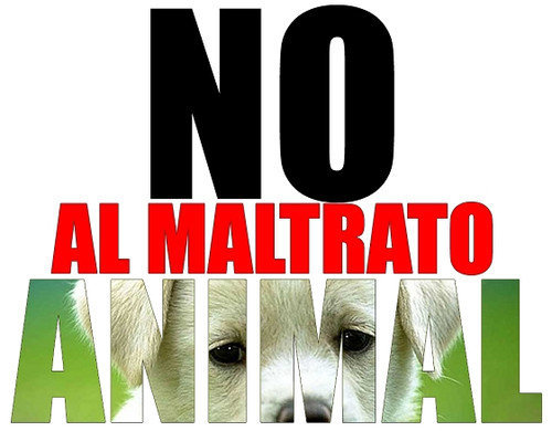 AnimalAmanecer's tweet photo. No a la exclusión de los perros usados en la caza de la ley. Ellos también tienen derechos @sanchezcastejon @PSOE @LuisPlanas #RuralSinMaltratoAnimal https://t.co/vrNiDI9D1v