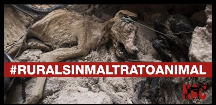 Plataforma NAC #NoALaCaza tweet media