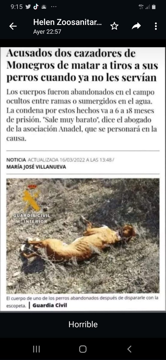 Patricia García Carmona tweet media