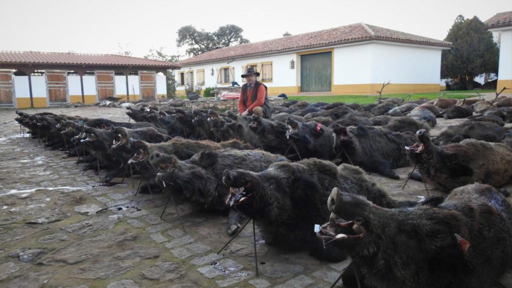 unaiwind's tweet photo. No defienden lo rural lo que defienden es a la mafia de la caza, que necesita la exclusión de los perros utilizados en la caza de la Ley de Protección Animal. 
Ya basta de señoritos y paletos, basta de plomo y muerte! @sanchezcastejon @LuisPlanas @PSOE !! 
#RuralSinMaltratoAnimal https://t.co/hhvL0Nsssm