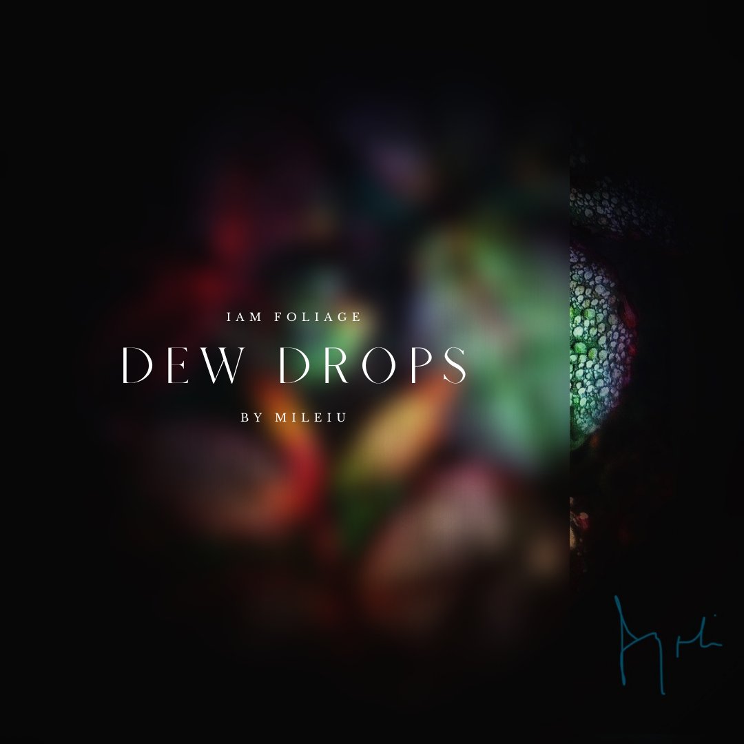 IAM_NFT_ART's tweet photo. “DEW DROPS”

IAM FOLIAGE is coming to Opensea on the 21st of March at 12:30 PM GMT

#nftartwork #rarible #metaverse #btc #nftsstories #digitalartist #animation #cryptonews #modernart #digitalcollectibles https://t.co/1W5LZBt3gB
