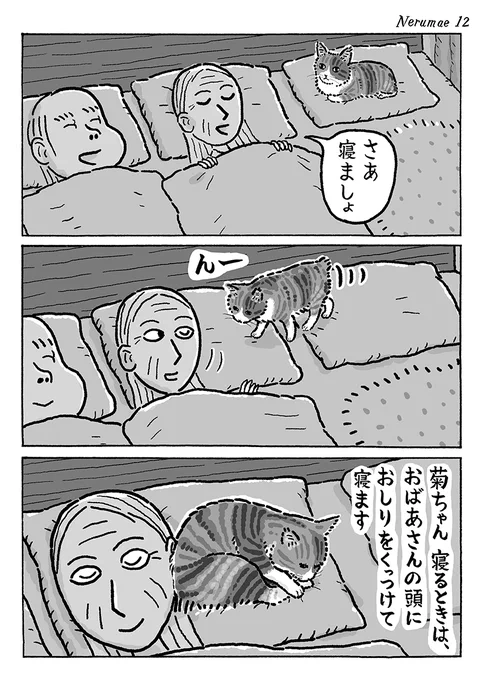 2ページ猫漫画「寝る前の時間」 