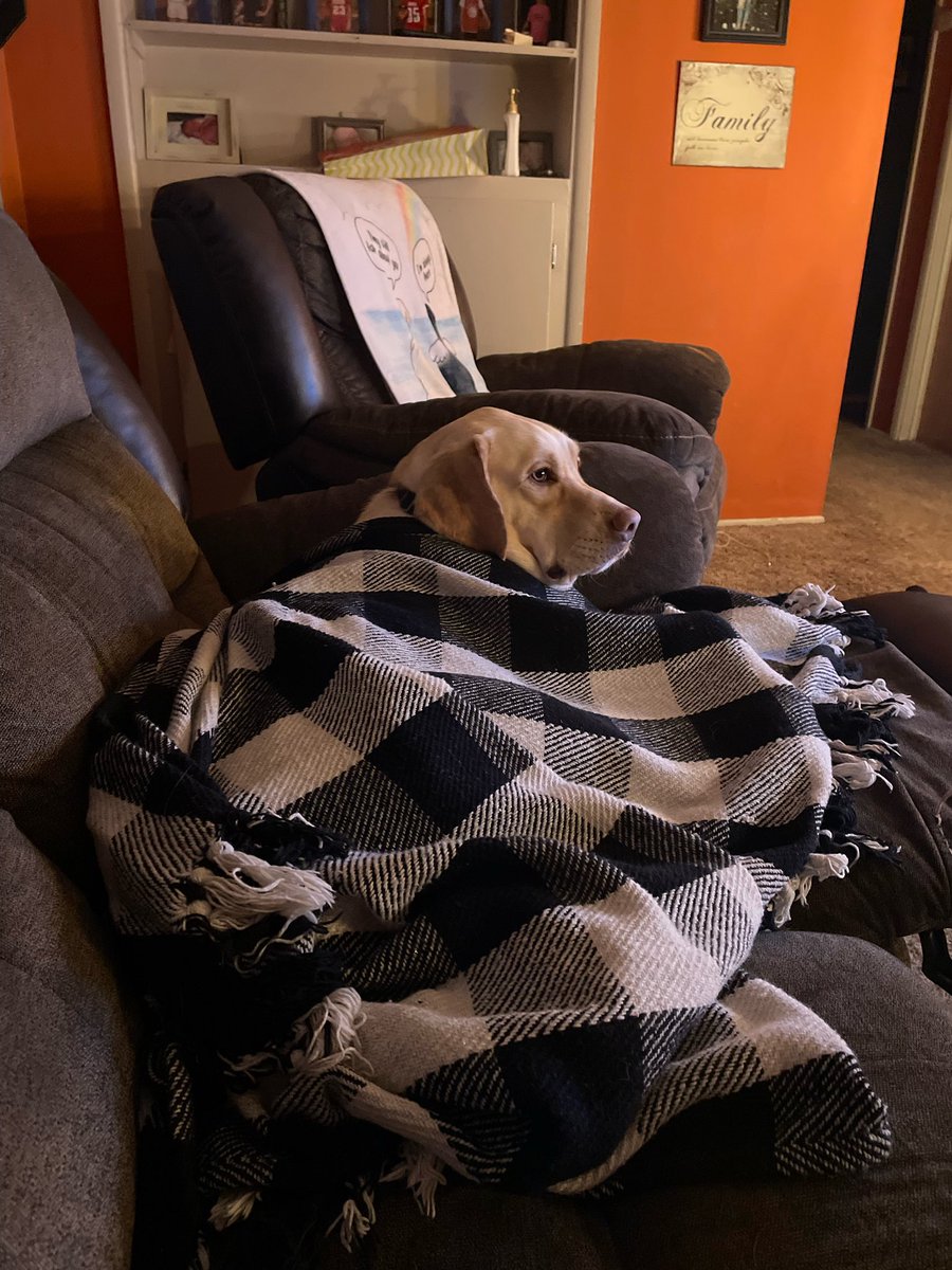 Chris Fulton tweet media