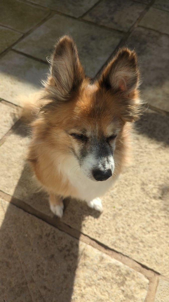 Fay Tryphena tweet media