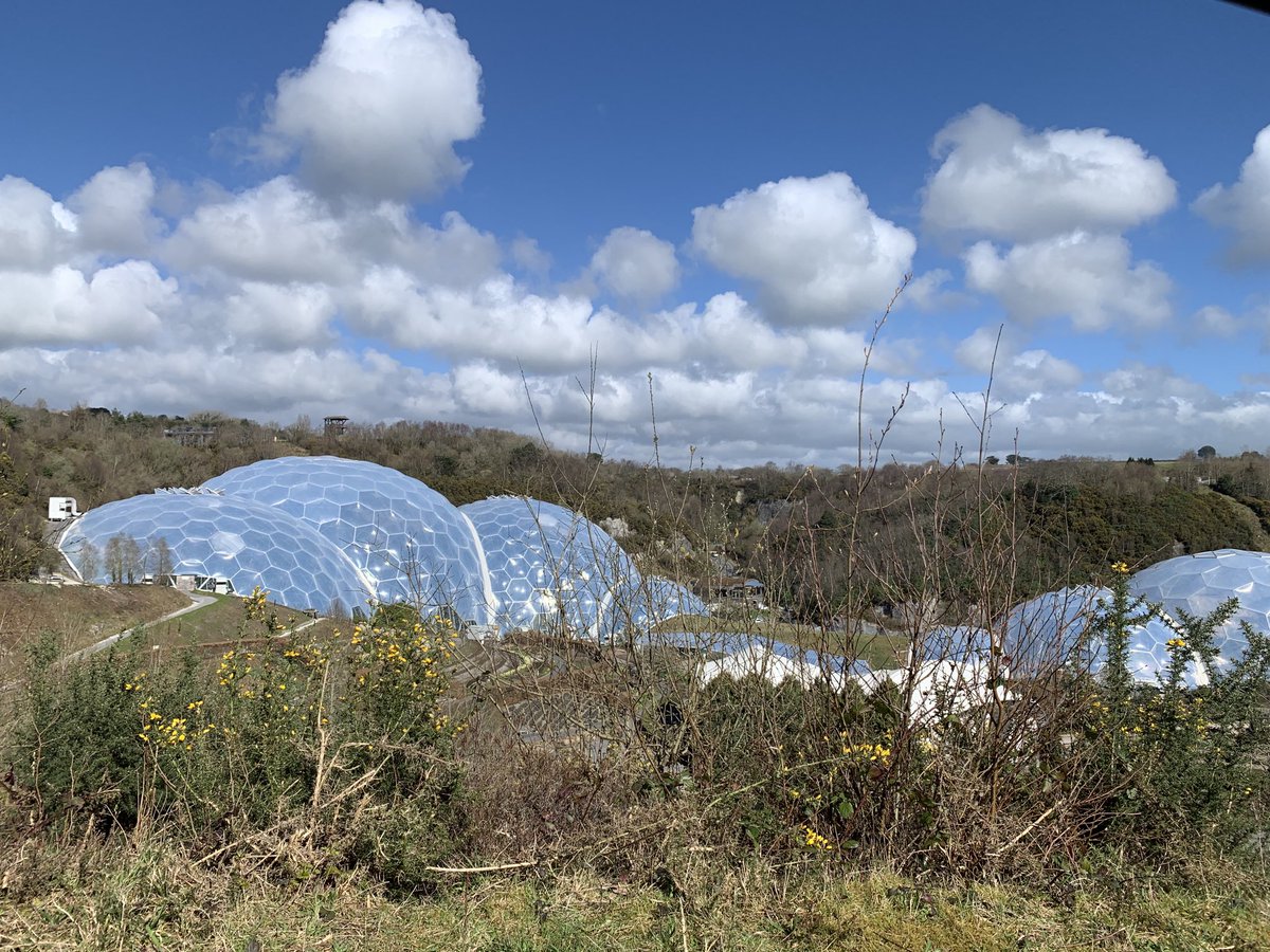 cobbuilding's tweet photo. Eden bee hive stem wall stared in glorious sunshine https://t.co/ymkHir0lFN