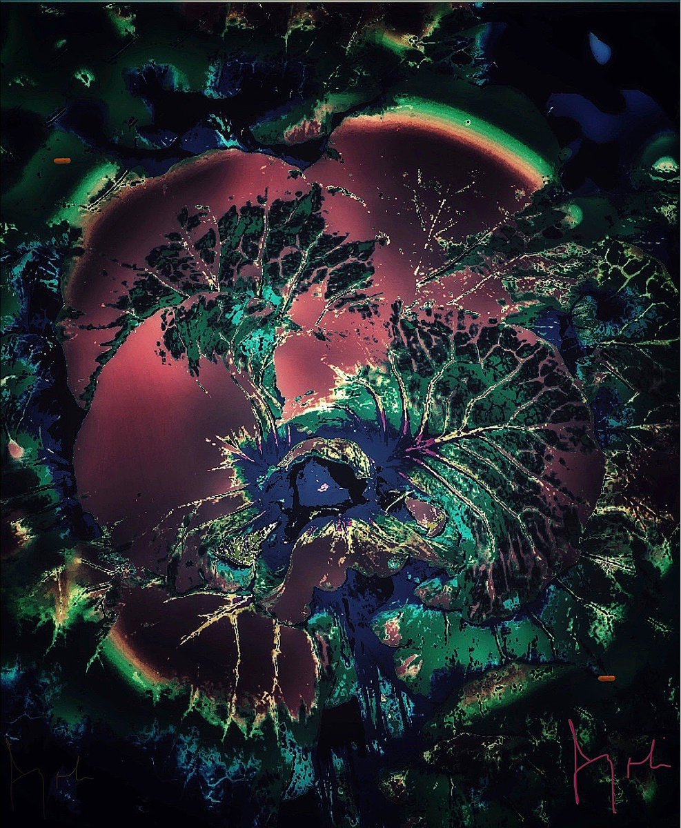 IAM_NFT_ART's tweet photo. @OubiEth “IAM COSMOS”
From our Abstraction collection! 
also come👇

IAM FOLIAGE is coming to Opensea on the 21st of March at 12:30 PM GMT

#nftartwork #rarible #metaverse #btc #nftsstories #digitalartist #animation #cryptonews #modernart #digitalcollectibles https://t.co/BygeCEDpfY